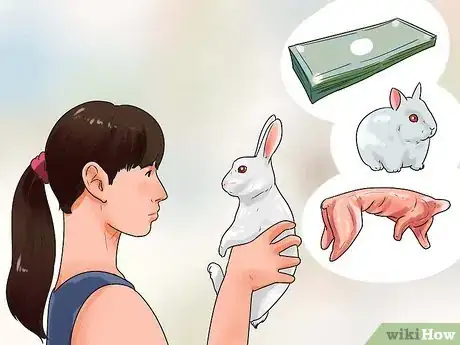 Imagem intitulada Breed Rabbits Step 1