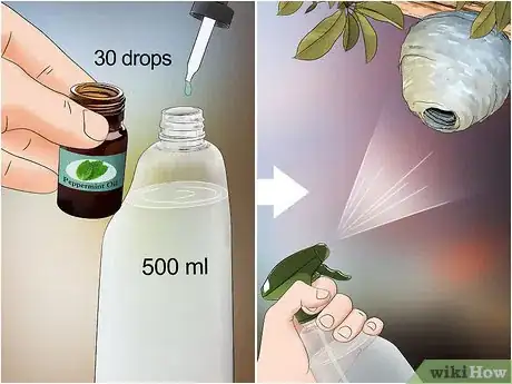Imagem intitulada Get Rid of Wasps Step 4