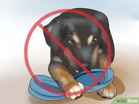 Imagem intitulada Train Your Rottweiler Puppy With Simple Commands Step 7