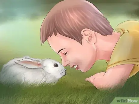 Imagem intitulada Make Your Rabbit Like You Step 13