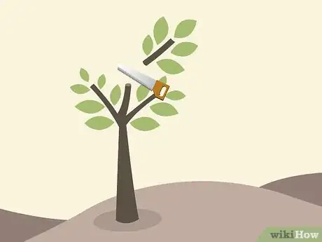Imagem intitulada Prune a Cherry Tree Step 3