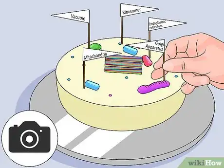 Imagem intitulada Make a Model Cell Step 15
