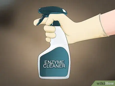 Imagem intitulada Clean Pee Off a Couch Step 11