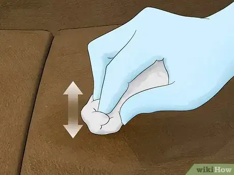 Imagem intitulada Clean Pee Off a Couch Step 10