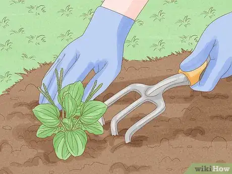 Imagem intitulada Pull Weeds Step 9