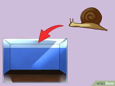 Imagem intitulada Build a Self Sustaining Ecosystem Step 6