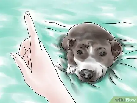 Imagem intitulada Train a Pit Bull Step 7