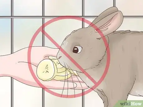 Imagem intitulada Treat Diarrhea in Rabbits Step 10