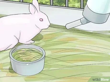 Imagem intitulada Care for Newborn Rabbits Step 6