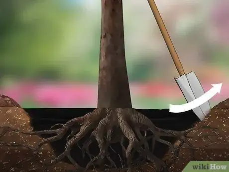 Imagem intitulada Remove a Tree Step 14