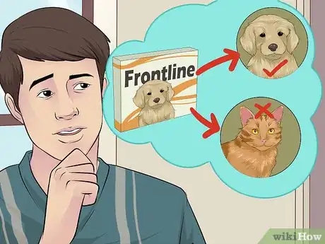 Imagem intitulada Apply Frontline Step 10