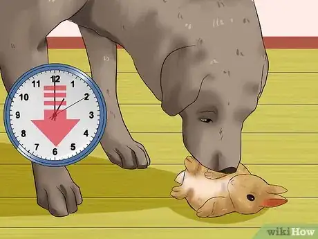 Imagem intitulada Introduce a Dog and a Rabbit Step 12