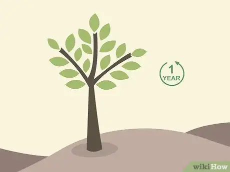 Imagem intitulada Prune a Cherry Tree Step 4