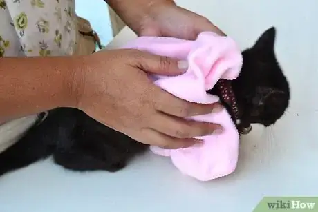 Imagem intitulada Clean Kittens Step 4
