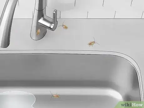 Imagem intitulada Identify a Cockroach Step 10