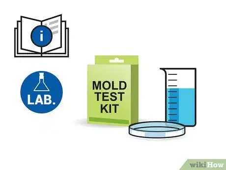Imagem intitulada Test for Mold Step 10