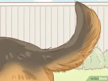 Imagem intitulada Identify a German Shepherd Step 6