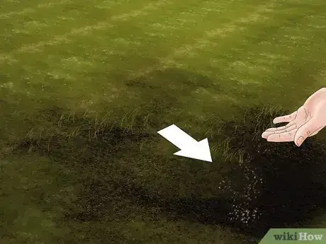 Imagem intitulada Level Ground Step 13