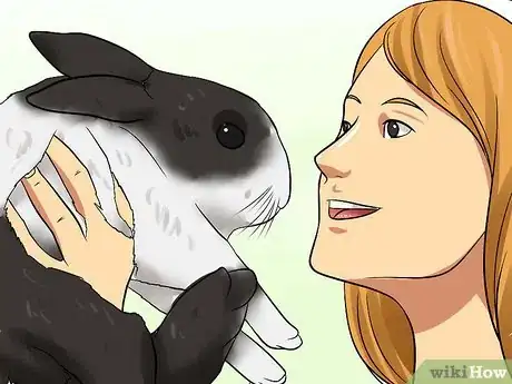 Imagem intitulada Care for Dutch Rabbits Step 20