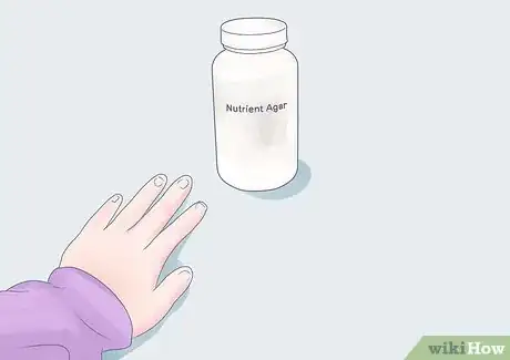 Imagem intitulada Grow Bacteria in a Petri Dish Step 1