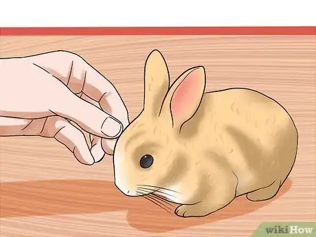 Imagem intitulada Tame Your Rabbit Step 17