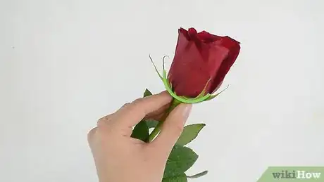 Imagem intitulada Keep Roses Fresh Step 3