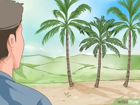 Imagem intitulada Climb a Coconut Tree Step 1