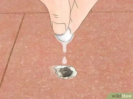 Imagem intitulada Clean Bird Droppings Step 5