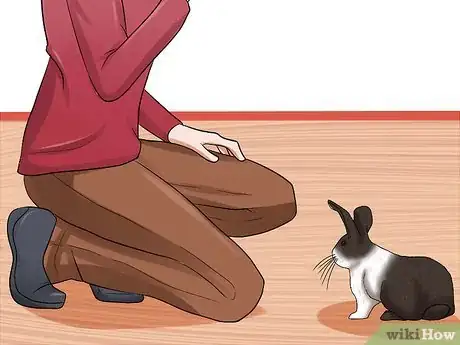 Imagem intitulada Tame Your Rabbit Step 4