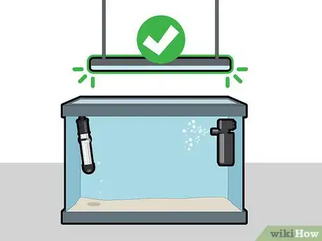 Imagem intitulada Grow Java Moss Step 5