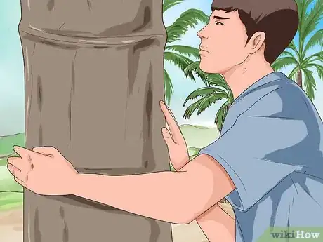 Imagem intitulada Climb a Coconut Tree Step 4