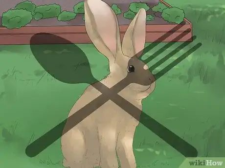 Imagem intitulada Understand Your Rabbit Step 12