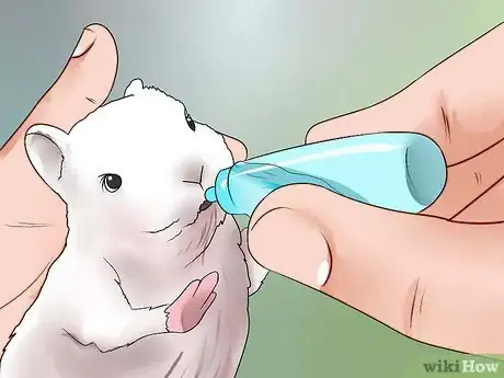 Imagem intitulada Feed Baby Rabbits Step 5