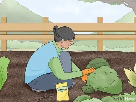 Imagem intitulada Prevent Trichoderma Step 10