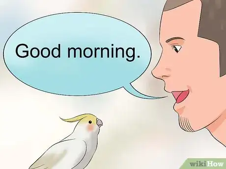 Imagem intitulada Train a Cockatiel to Talk Step 5