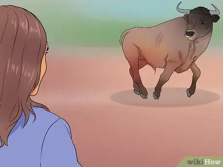 Imagem intitulada Avoid or Escape a Bull Step 2