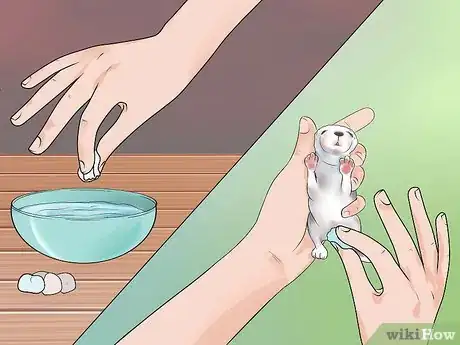 Imagem intitulada Feed Baby Rabbits Step 7