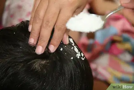 Imagem intitulada Use Salt Around the House Step 17