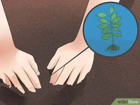 Imagem intitulada Use Your Compost Step 7