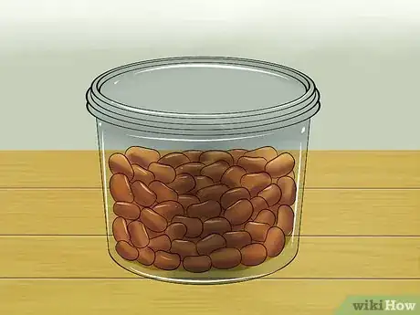 Imagem intitulada Keep Ants Out of Pet Food Step 1