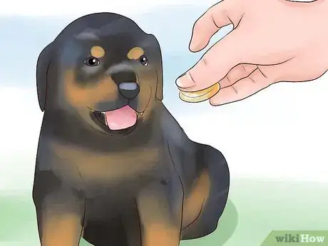 Imagem intitulada Train Your Rottweiler Puppy With Simple Commands Step 2