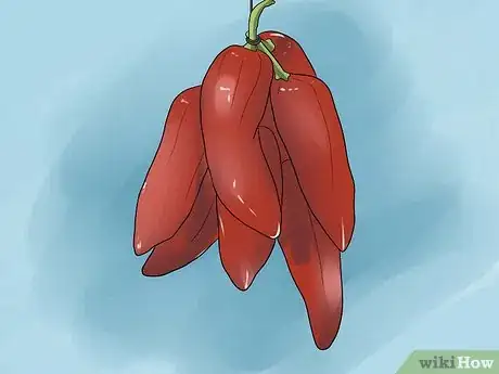 Imagem intitulada Preserve Chilies Step 3