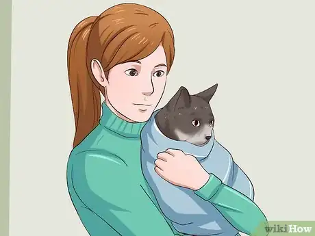 Imagem intitulada Catch a Cat Step 4