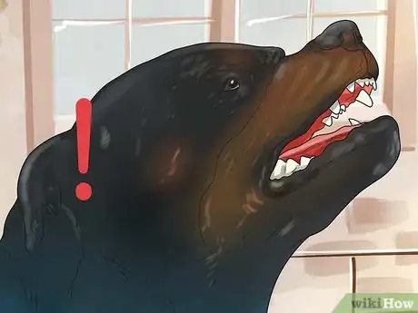 Imagem intitulada Train a Rottweiler Step 7
