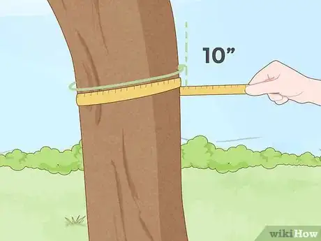 Imagem intitulada Straighten a Tree Step 7