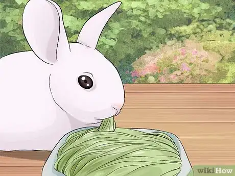 Imagem intitulada Care for Newborn Rabbits Step 1