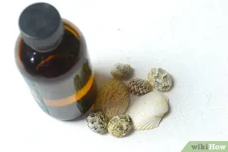 Imagem intitulada Make a Shell Necklace Step 17