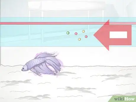 Imagem intitulada Feed a Betta Fish Step 2