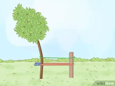 Imagem intitulada Straighten a Tree Step 3