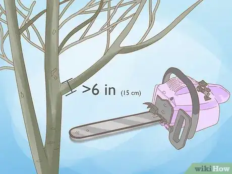 Imagem intitulada Prune Walnut Trees Step 12